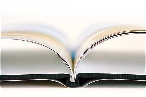 Imagen tomada de Pulsodigital.net