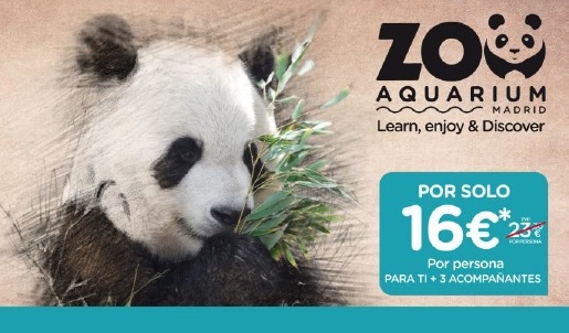 zoo open day_junio 2019 - recortada
