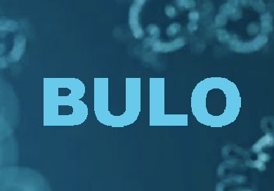 bulos-coronavirus-maldita