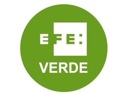 logo-efeVerde