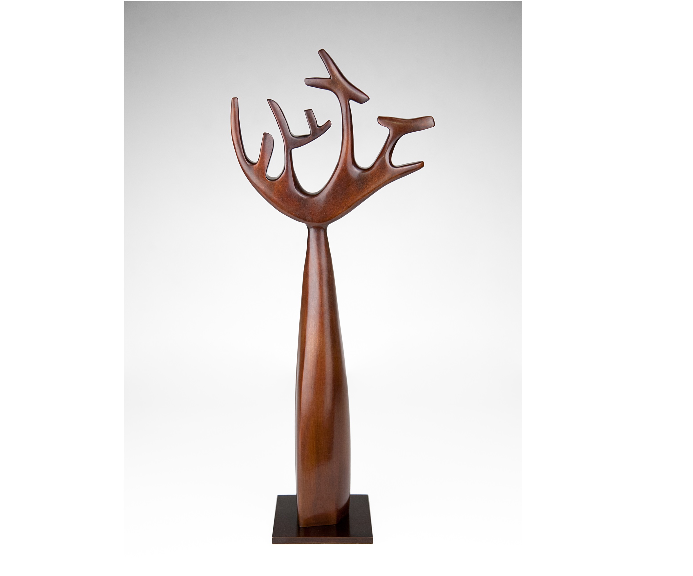 2021/07/Arbol-de-Luz-Escultura-Ganadores-Concha-Gay-b.jpg