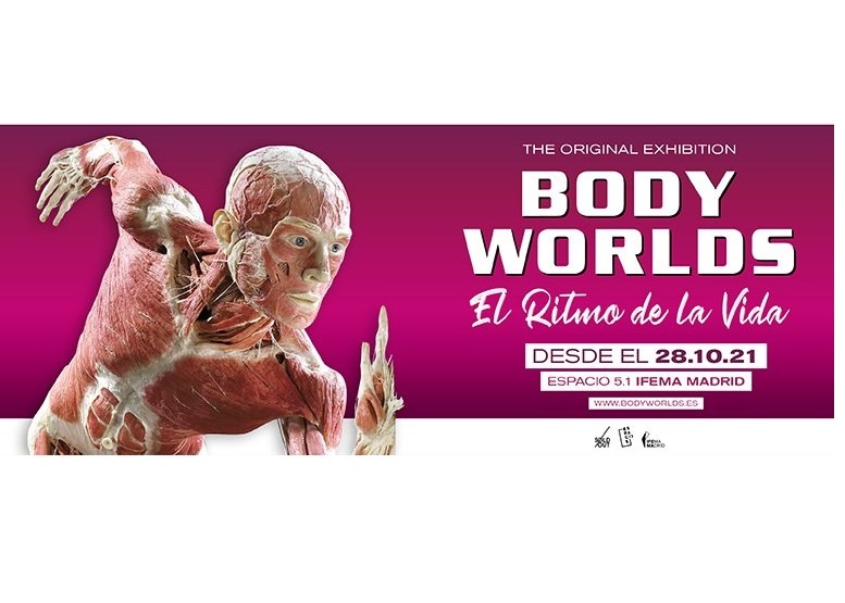 2021/10/exposicion-body-worlds-web2.jpg
