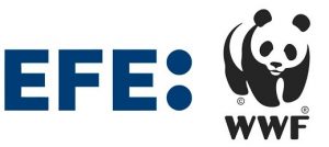 La Agencia Efe convoca una beca para realizar prácticas de especialización en periodismo ambiental