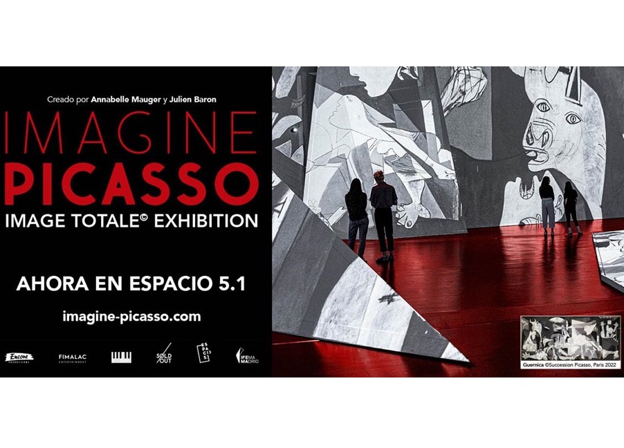 2022/11/exposicion-imagine-picasso-madrid_web.jpg