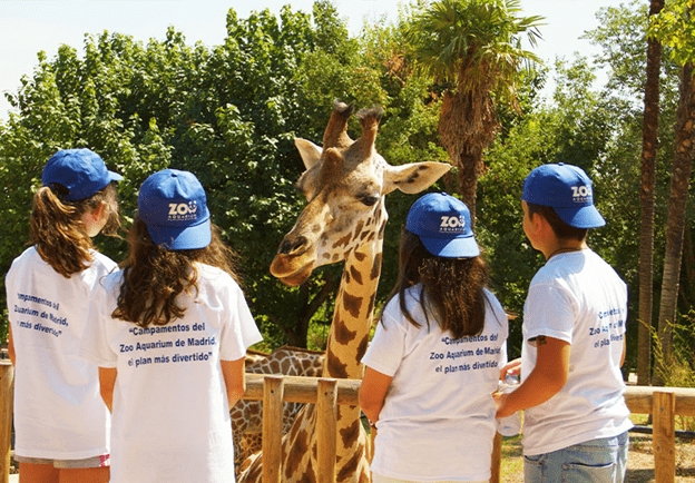 zoo-madrid-blog-campamentos-verano