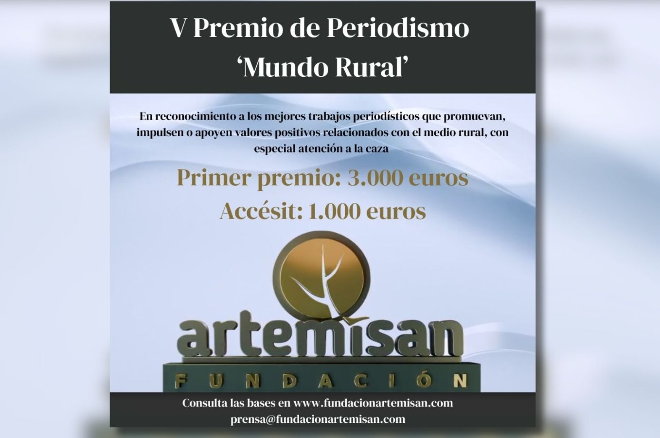V-Premio-de-Periodismo-Artemisan