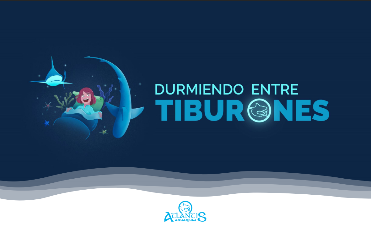 durmiendo entre tiburones