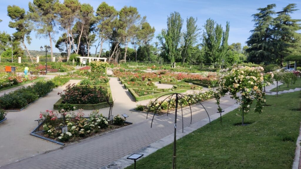 Momento del recorrido en el Jardín de la Rosaleda del Parque del Oeste. Foto: APM