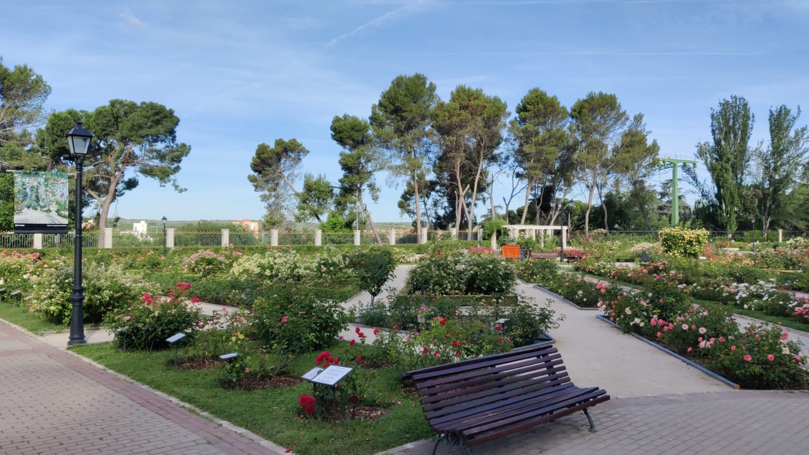 Visita Jardín de la rosaleda (4)