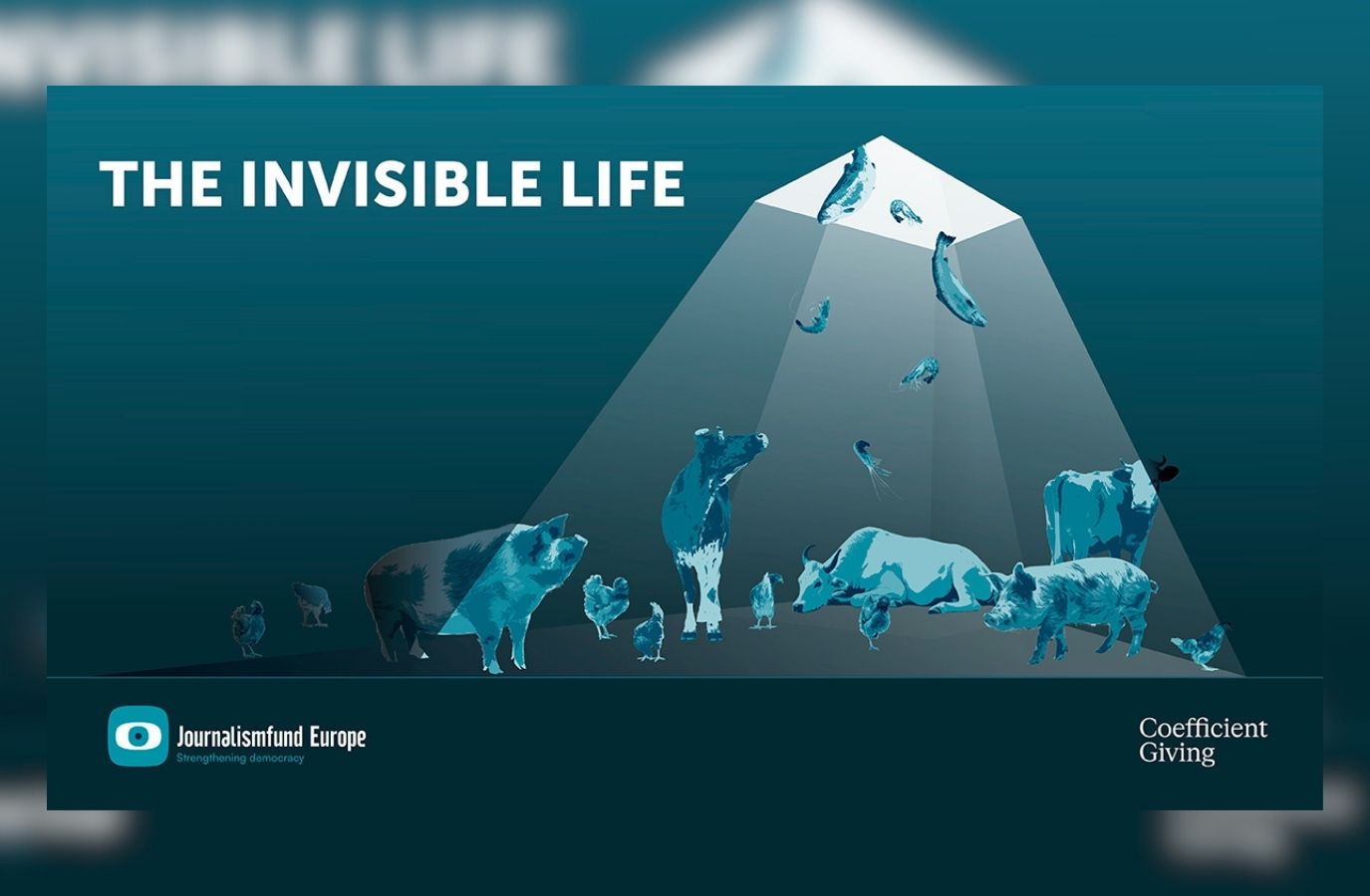 Beca The Invisible Life