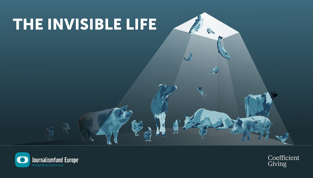 Beca The Invisible Life
