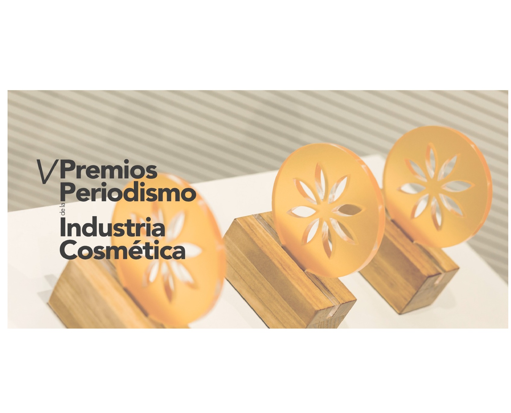 V edición de los Premios de Periodismo de la Industria Cosmética2
