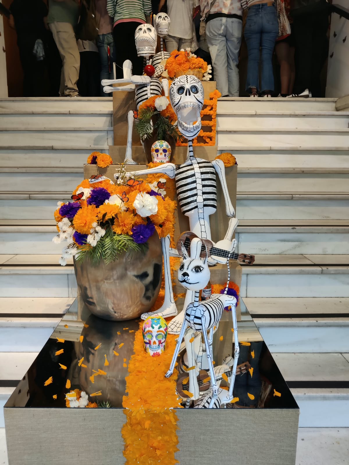 Exposición de la entrada
