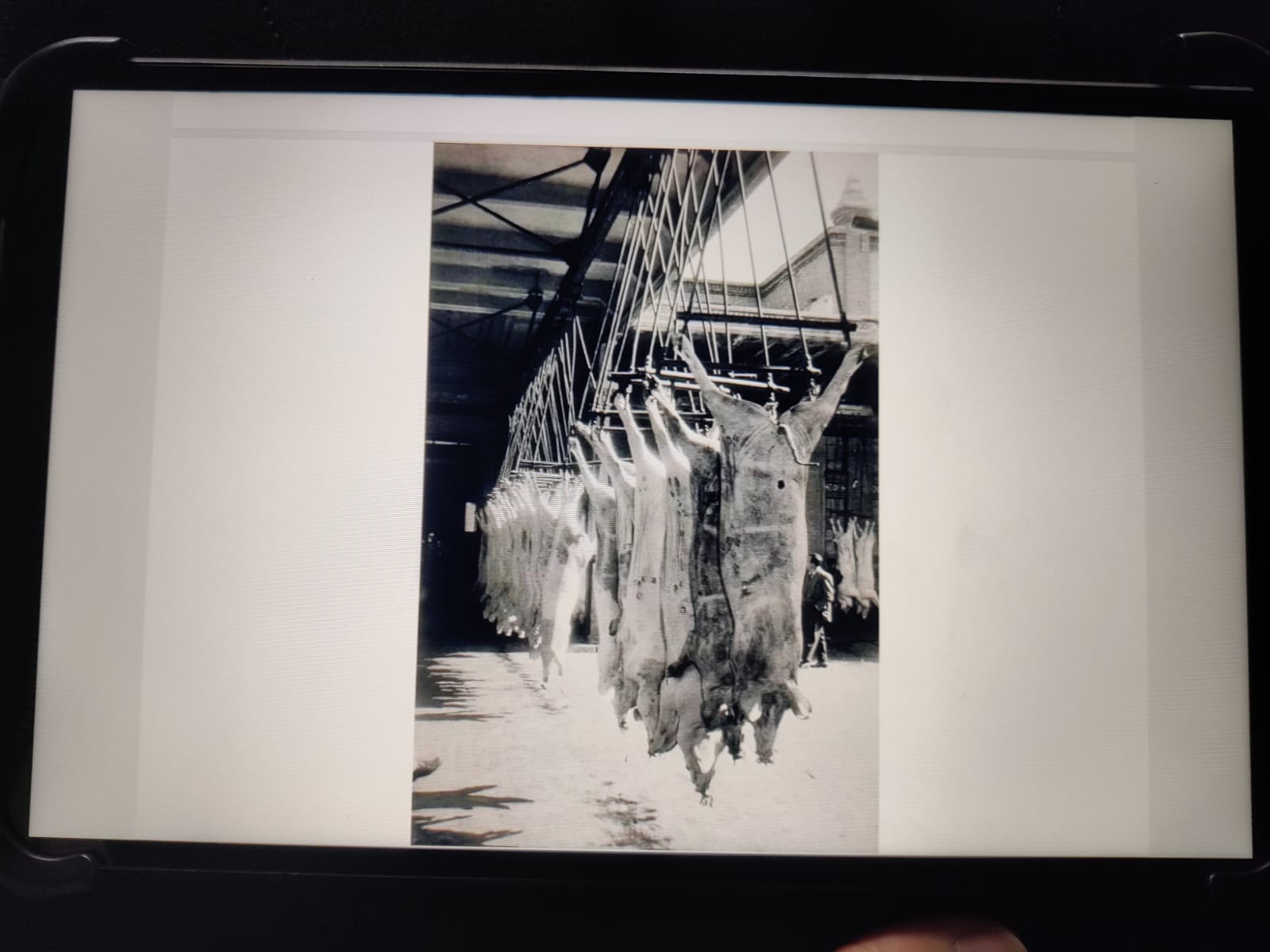 Fotografías de la antigua nave frigorífica (1)