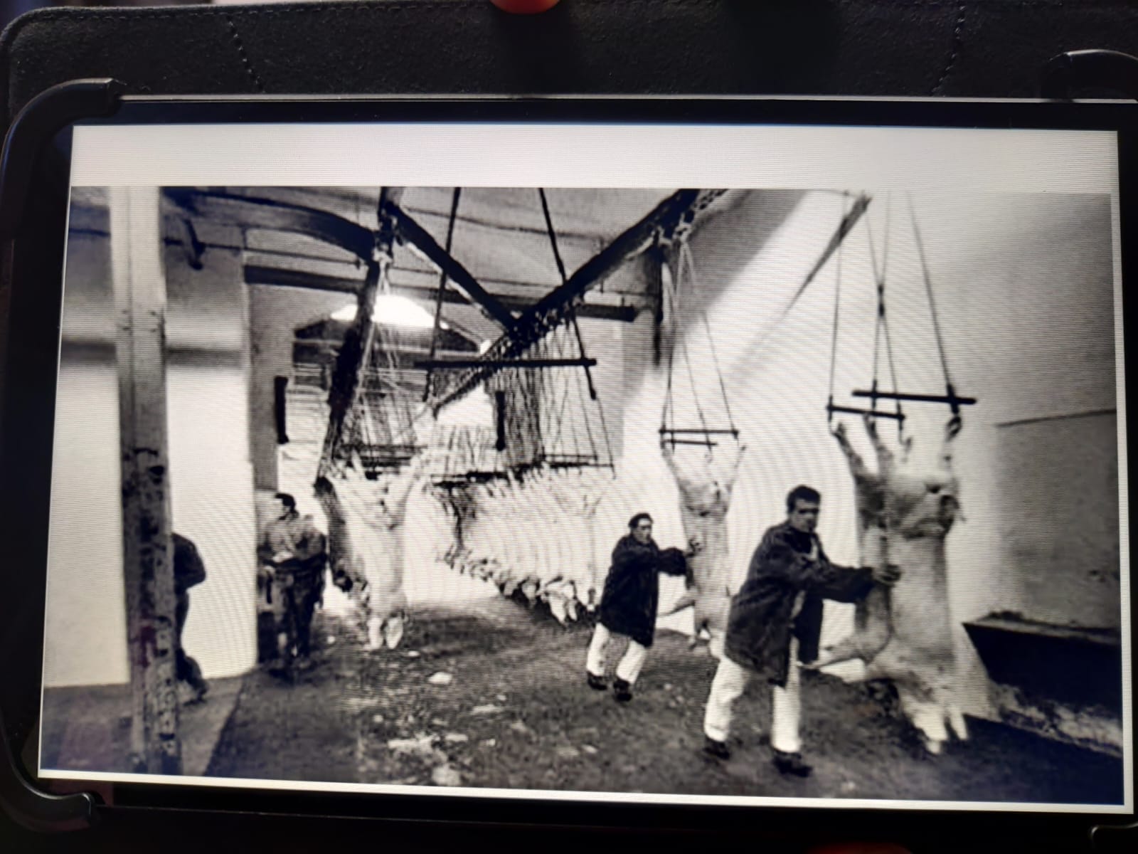 Fotografías de la antigua nave frigorífica (2)